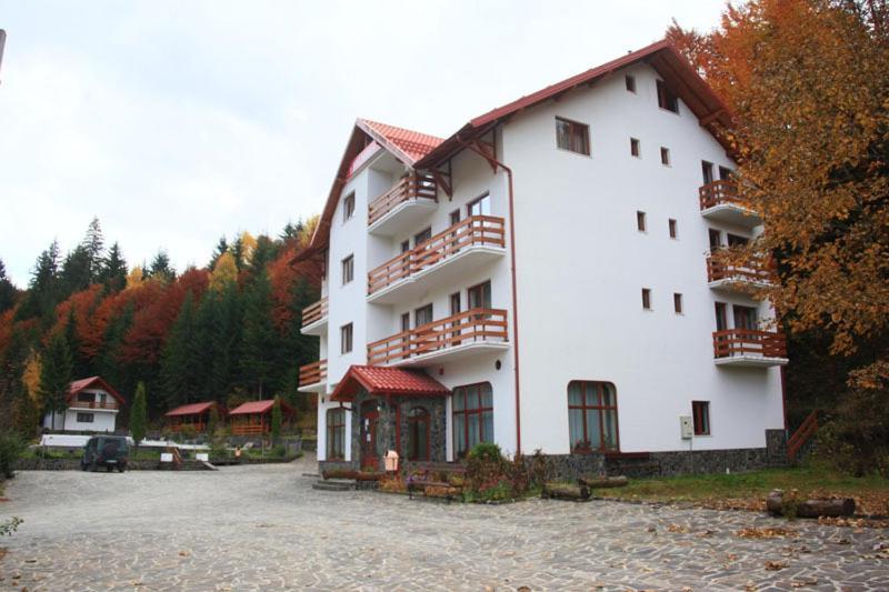 Hotel Paltinis Borşa Exterior foto