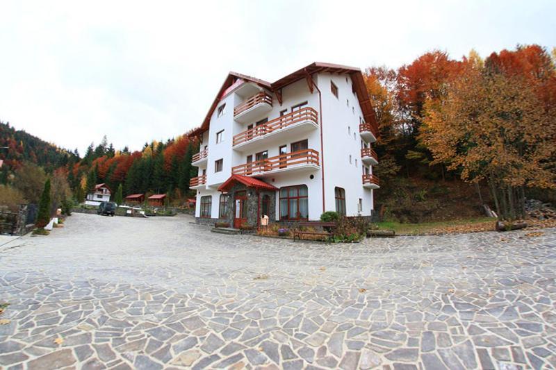 Hotel Paltinis Borşa Exterior foto