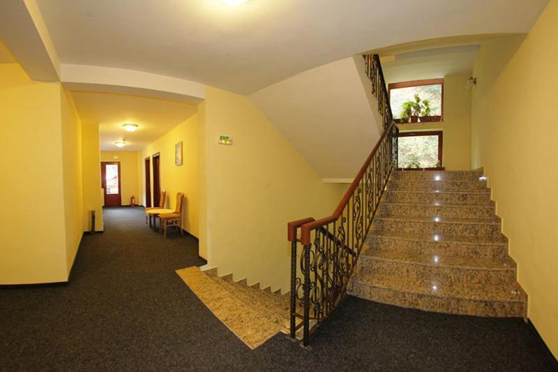 Hotel Paltinis Borşa Exterior foto